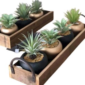 Miniature Garden Trays