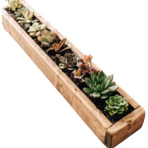 Rustic Succulent Trough